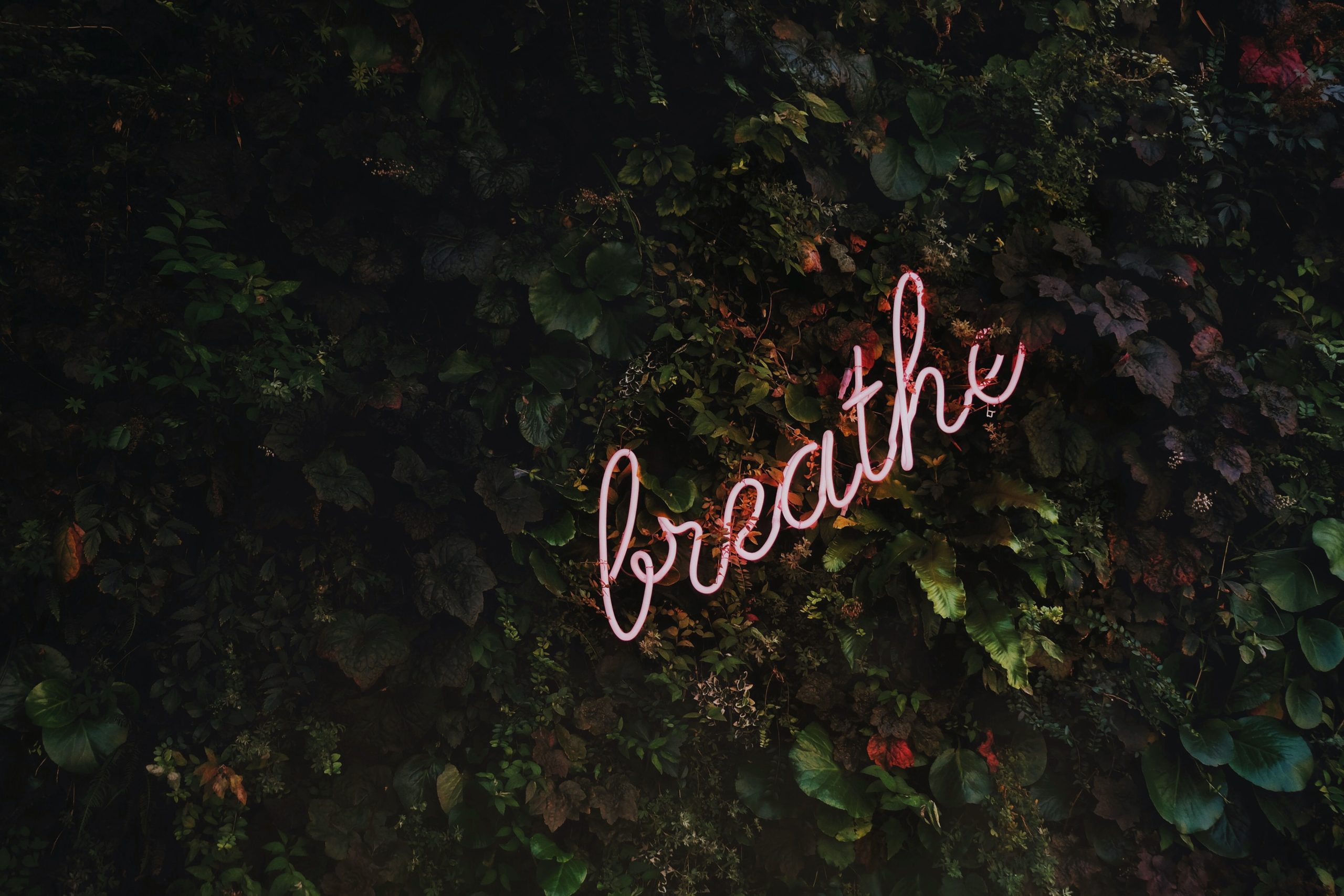 Neon 'breathe' sign